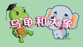 少儿故事大全视频播放,欢乐时光,智慧启航