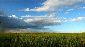 内蒙古草原风光视频,碧波万顷的绿色画卷