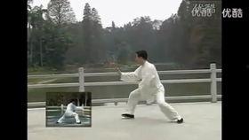 陈氏56太极剑教学视频
