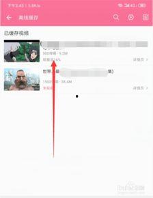 b站在哪下载视频,轻松获取你喜爱的内容