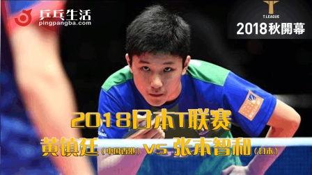 日本视频wwww黄,揭秘日本视频网站“黄生成”的神秘面纱