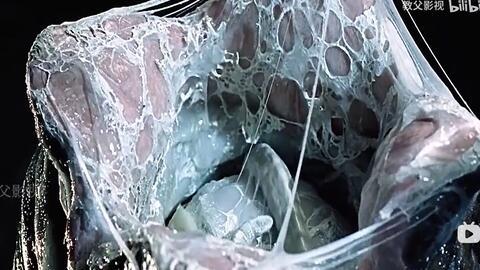怪物生孩子视频