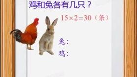鸡兔同笼讲解视频