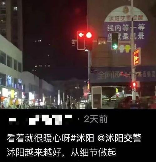 沭阳宣传视频,绿色生态与历史文化交融的美丽画卷